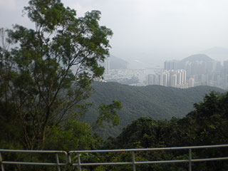 対岸