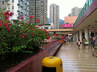 市中心